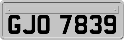 GJO7839