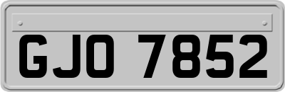 GJO7852
