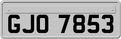 GJO7853