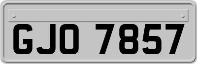 GJO7857