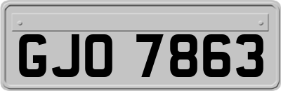 GJO7863