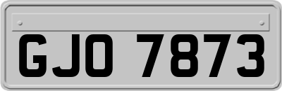 GJO7873