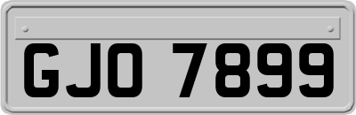 GJO7899