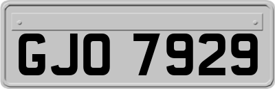 GJO7929