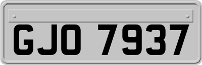GJO7937