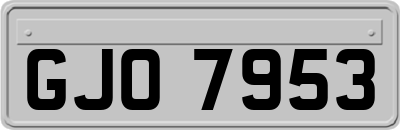 GJO7953