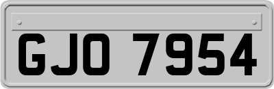 GJO7954