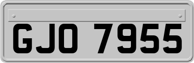 GJO7955
