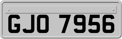 GJO7956