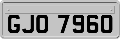 GJO7960