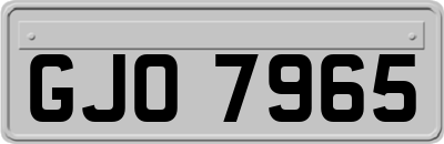 GJO7965