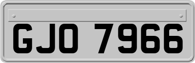 GJO7966