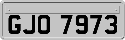 GJO7973