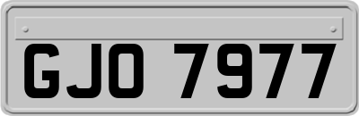 GJO7977