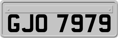 GJO7979