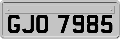 GJO7985