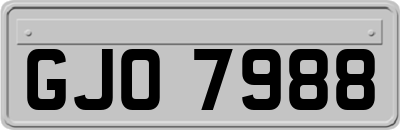 GJO7988