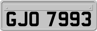 GJO7993