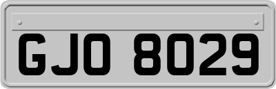 GJO8029
