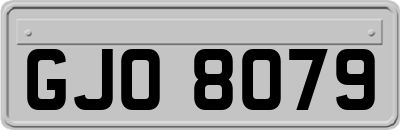 GJO8079