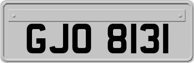 GJO8131