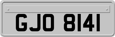 GJO8141