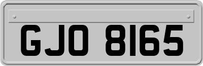GJO8165