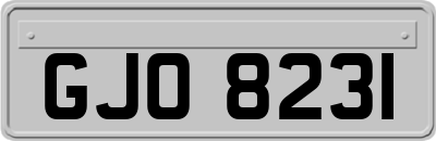 GJO8231