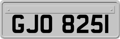 GJO8251