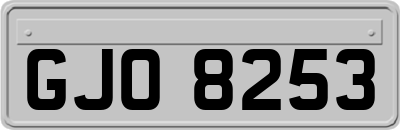 GJO8253