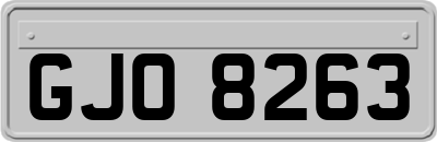 GJO8263