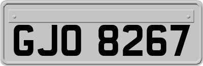 GJO8267