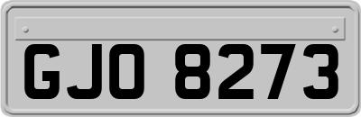 GJO8273