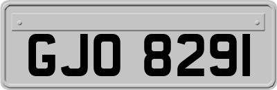 GJO8291