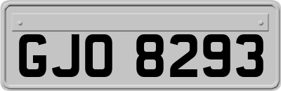 GJO8293
