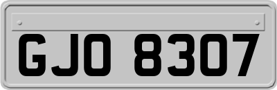 GJO8307