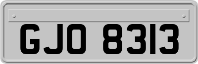 GJO8313