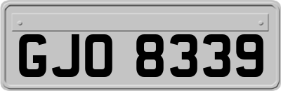GJO8339