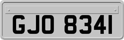 GJO8341