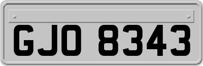 GJO8343