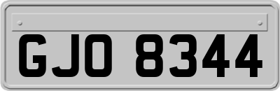 GJO8344