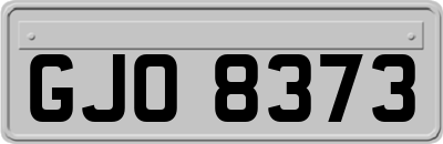 GJO8373