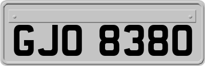 GJO8380