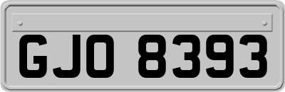 GJO8393