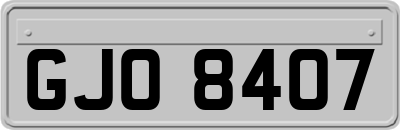 GJO8407