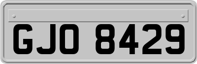 GJO8429