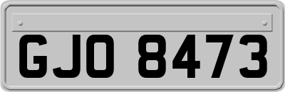 GJO8473