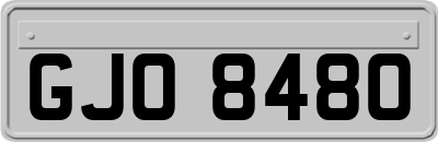 GJO8480