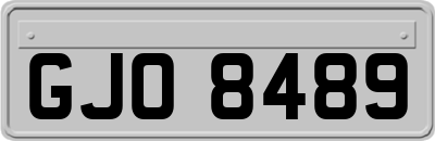GJO8489