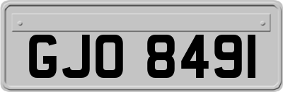 GJO8491